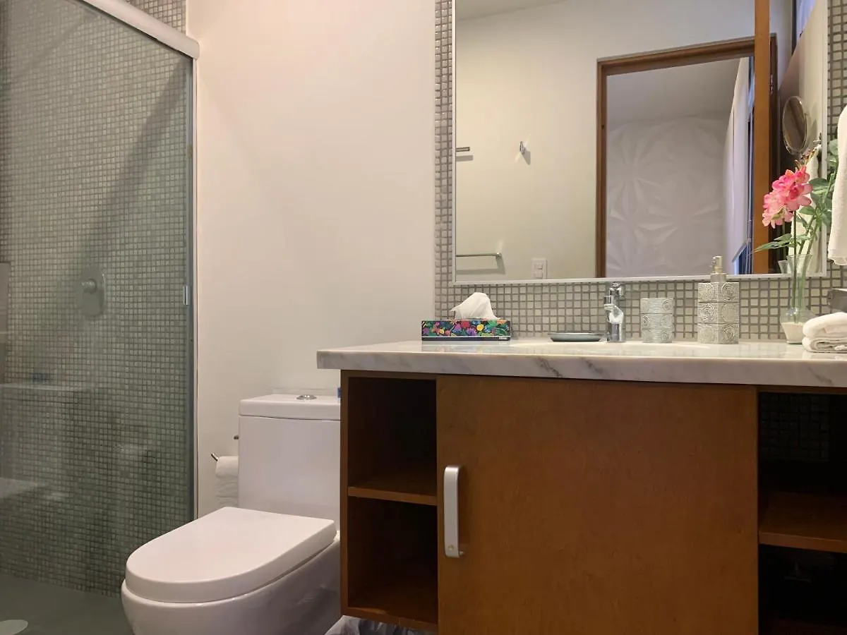 Spectacular Two Bedrooms Ph With Private Rooftop And Jacuzzi Playa del Carmen Apartment